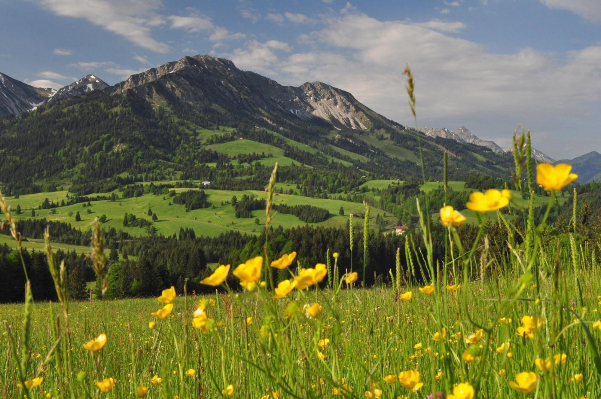 Hotel Alpengasthof Lowen บาดฮินเดลัง ภายนอก รูปภาพ